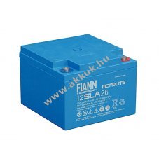 lom akku 12V 24Ah (FIAMM) tpus 12SLA 26